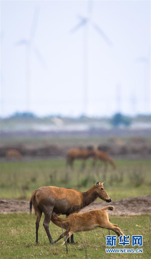 圖片默認標題_fororder_15