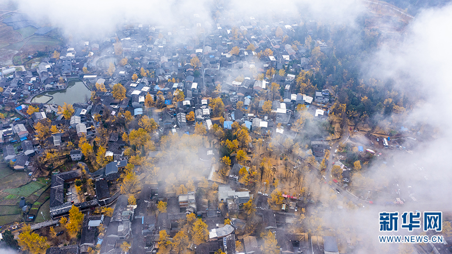 雨中村落 银杏染冬