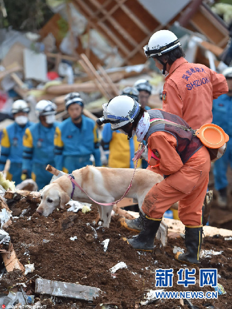 日本九州熊本地震致44人遇難 1100人受重傷