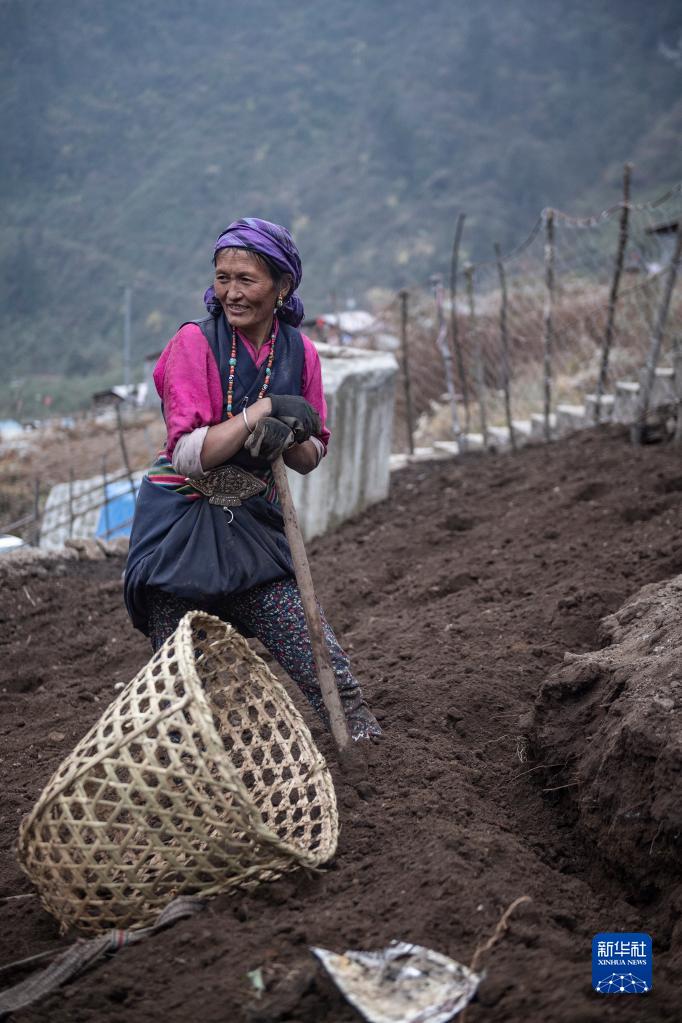 探访夏尔巴人聚居地陈塘镇