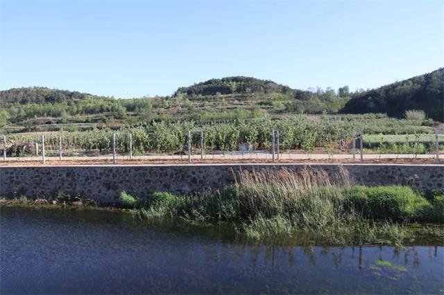 山东威海经区桥头镇美丽乡村焕新颜