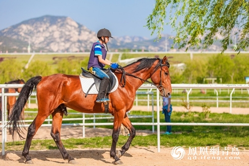 7月16日起！山东龙口南山国际养生谷健康小镇全面免费开放