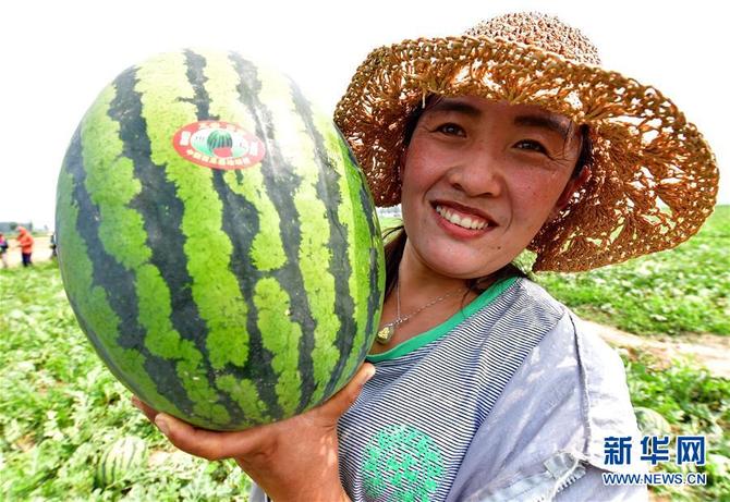 图片默认标题_fororder_%5c%5c172.100.100.3%5ctemp%5c9500020%5c1%5c9500020_1_1_0b916428-0027-4ae9-a19e-f9966290323a