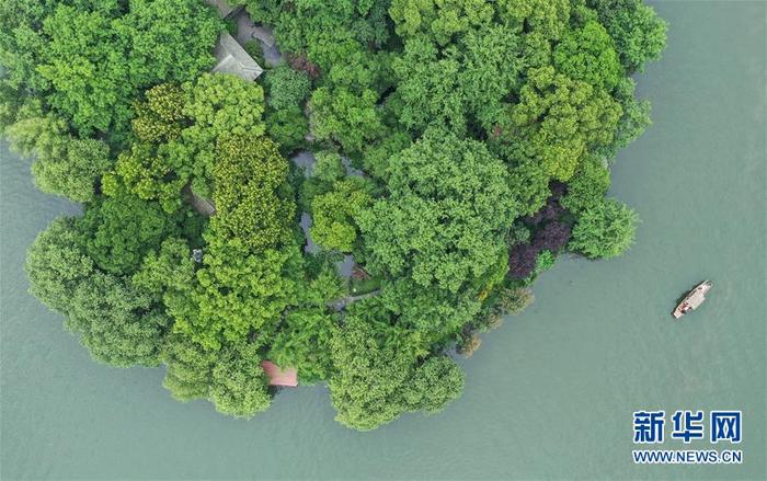 图片默认标题_fororder_6