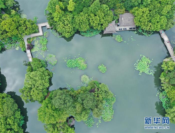 图片默认标题_fororder_5