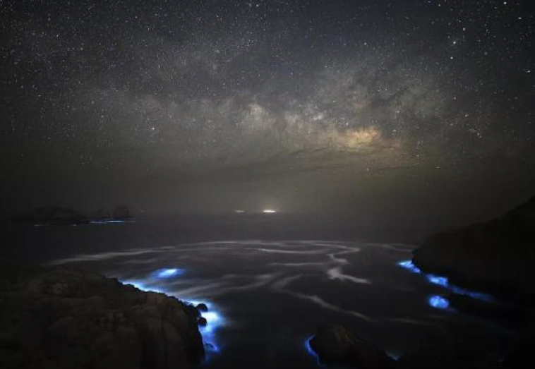 惊艳！“蓝眼泪”又现宁波象山渔山岛