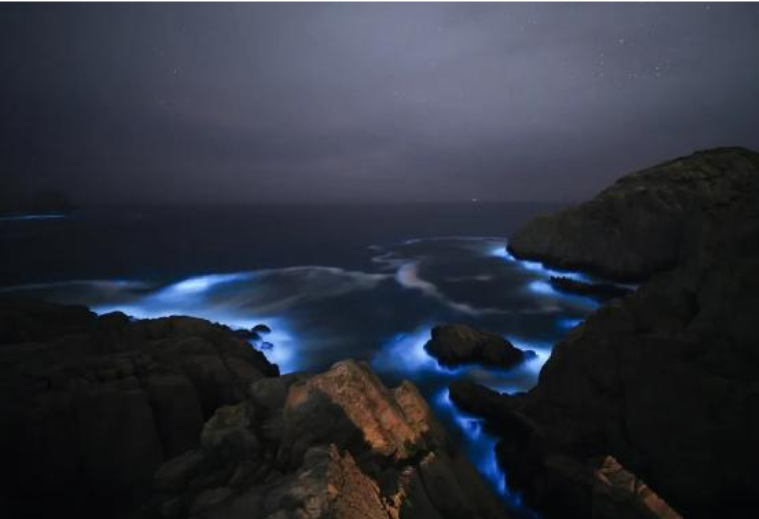 惊艳！“蓝眼泪”又现宁波象山渔山岛