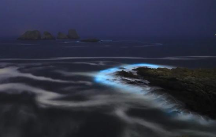 惊艳！“蓝眼泪”又现宁波象山渔山岛