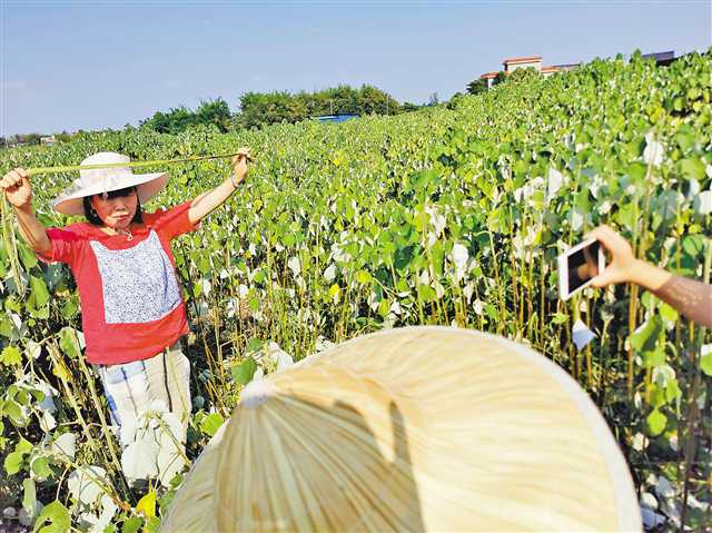 【聚焦重慶】直播帶貨 “重慶寶貝”成了大贏家