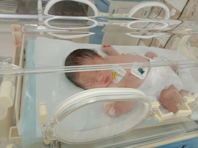 生命的力量——守护隔离病房内诞生的新生命