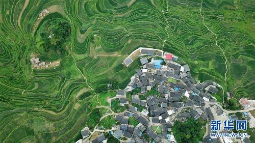 Hagdan-hagdang palayan ng Gaoyao sa Guizhou, maganda sa tag-init