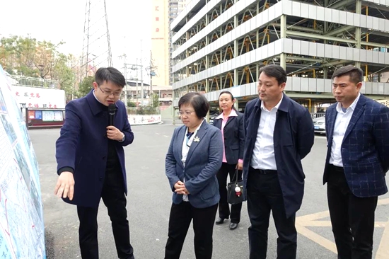 贵州省委宣传部副部长王芳到黔南罗甸开展基层调研