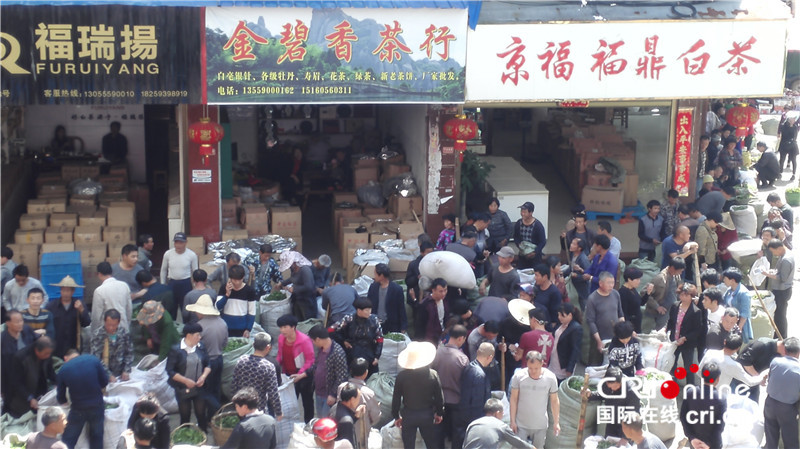 位于点头镇的白茶交易市场