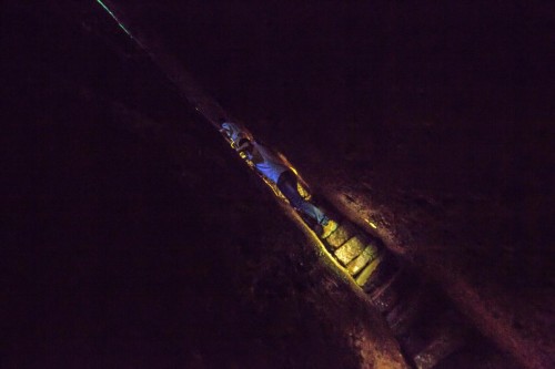 树叶值万元，绝壁建村子！探秘未知的武夷山怪象