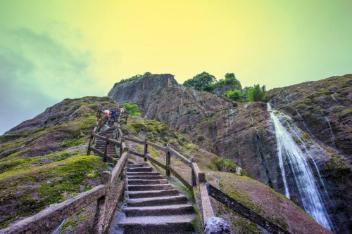 树叶值万元，绝壁建村子！探秘未知的武夷山怪象