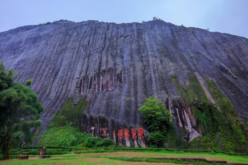 树叶值万元，绝壁建村子！探秘未知的武夷山怪象