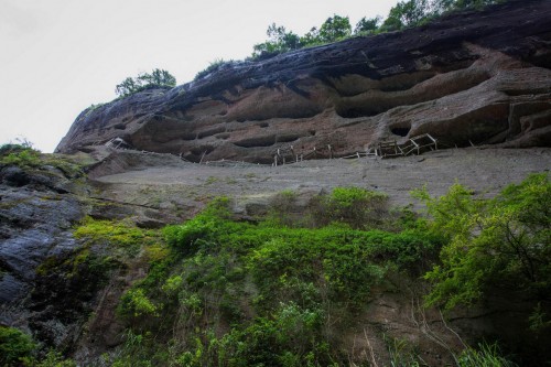 树叶值万元，绝壁建村子！探秘未知的武夷山怪象
