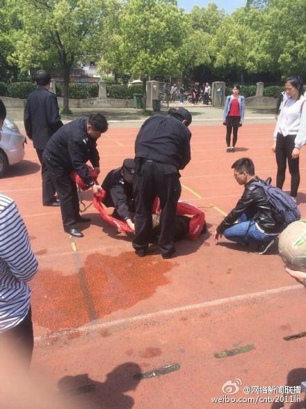 网曝大学驱赶流浪狗开车碾4次