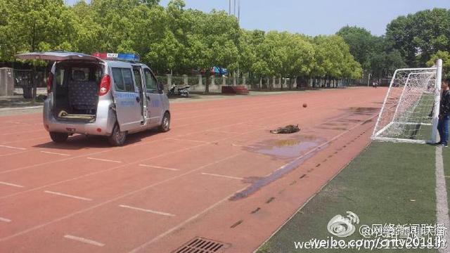 网曝大学驱赶流浪狗开车碾4次