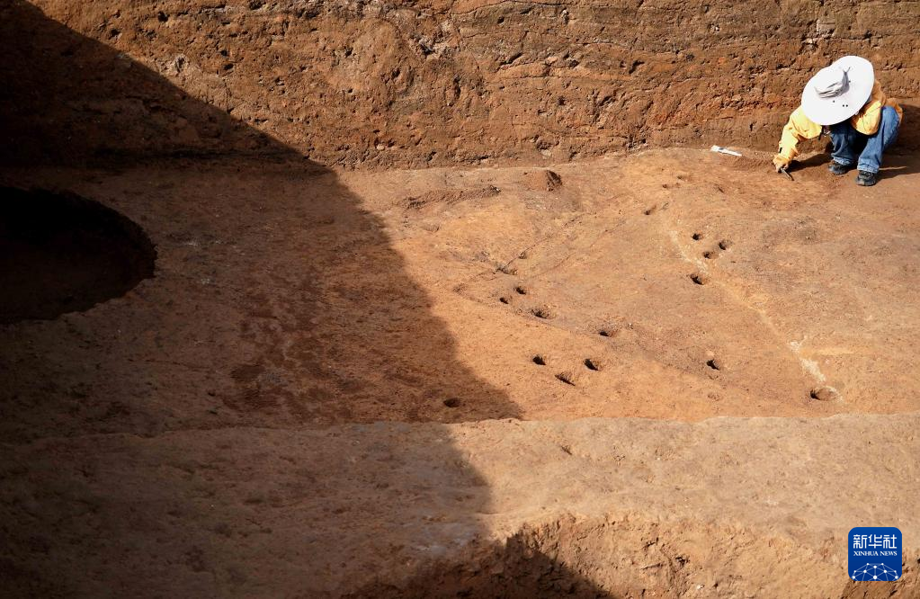 河南蘇羊遺址發現距今5000年前後多元文化交流重要實證