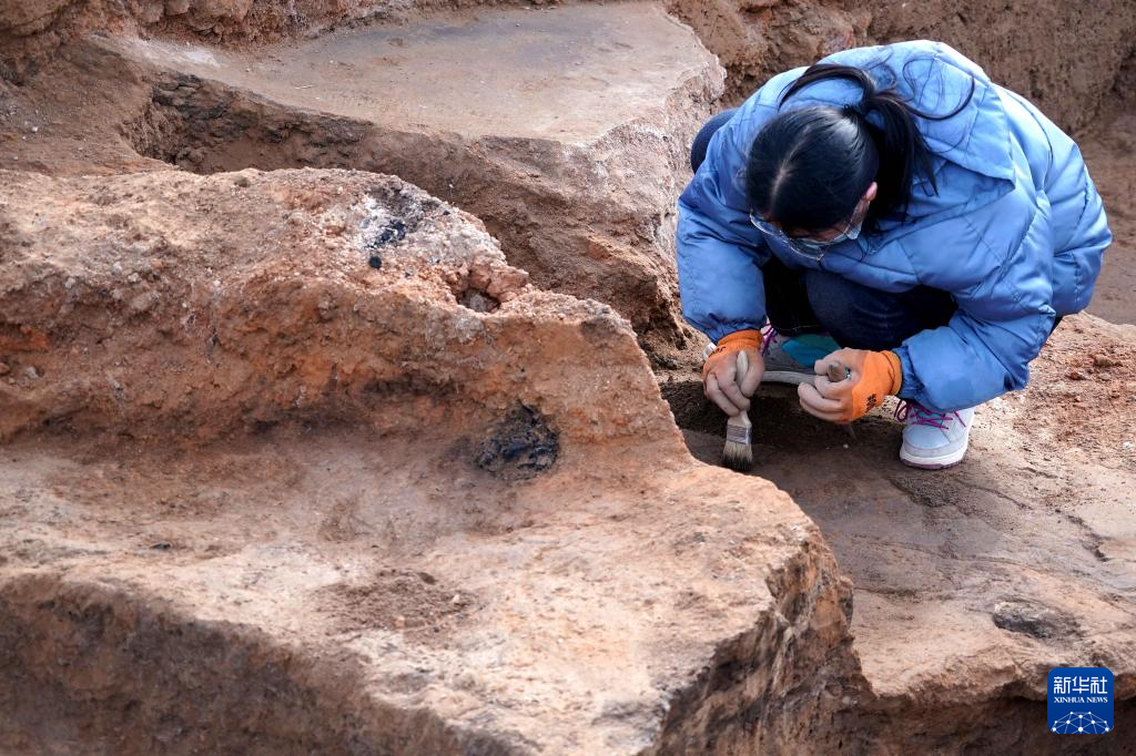 河南蘇羊遺址發現距今5000年前後多元文化交流重要實證