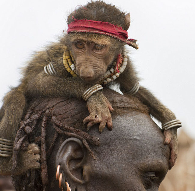 镜头记录全球人与动物和谐相处温馨瞬间高清组图