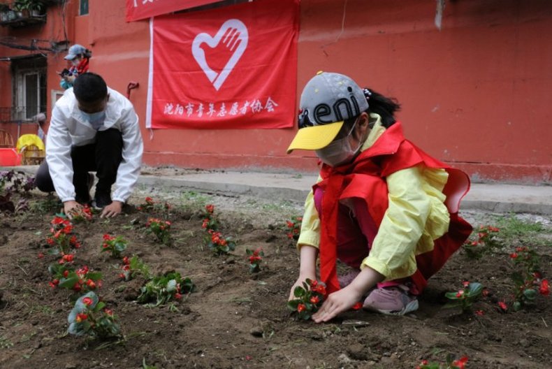 瀋陽市沈河區開展兒童節綠植播種活動