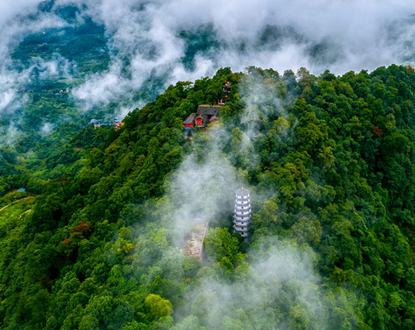 【原创】重庆巴南圣灯山镇：抓基层治理促平安建设 共建共享美丽家园_fororder_图片2