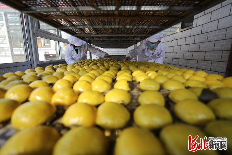 河北宽城满族自治县：蒸豆包 迎新年