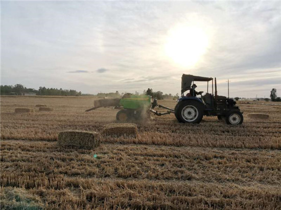 【B】平顶山市宝丰县：废弃秸秆换成钱 农民心里比蜜甜