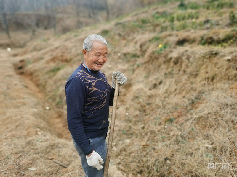 远山的回响｜他用“一片叶子”带老乡致富