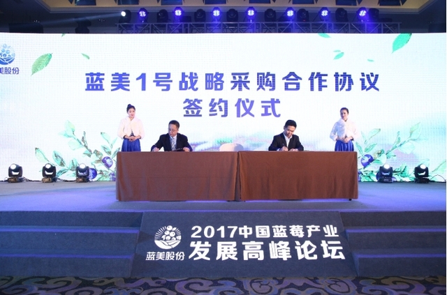中國藍莓産業化發展峰會今舉行 “藍美1號”正式發佈