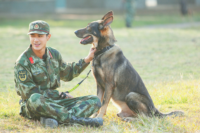 图片默认标题_fororder_收视-3