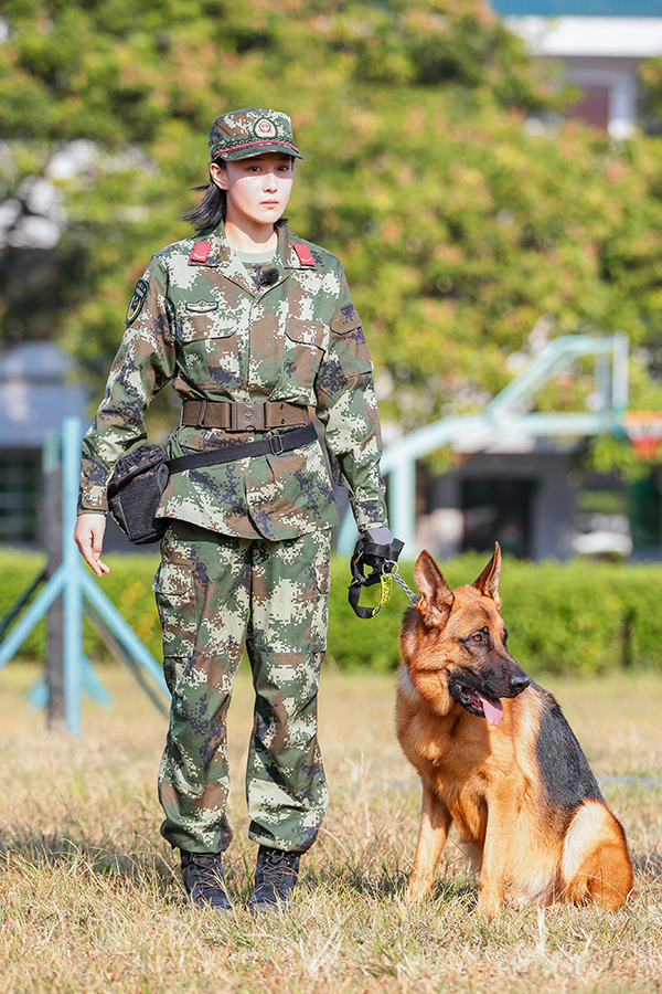 《奇兵神犬》再奪收視冠軍 楊爍警犬情感故事引共鳴