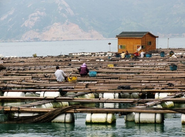 所有房子都漂在海上的村庄 你敢住么？