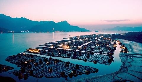 所有房子都漂在海上的村庄 你敢住么？