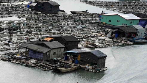 所有房子都漂在海上的村庄 你敢住么？