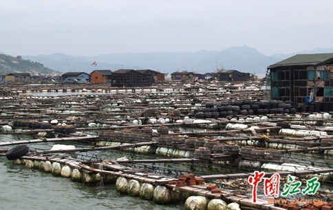 所有房子都漂在海上的村庄 你敢住么？