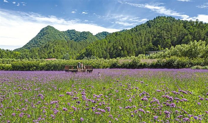 图片默认标题_fororder_2