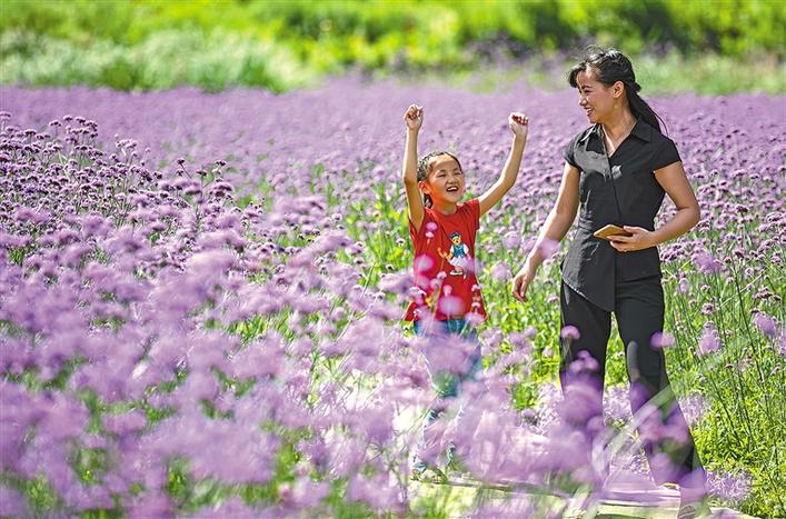 图片默认标题_fororder_1