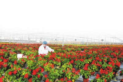 河南省首次发布农业农村现代化综合评价报告