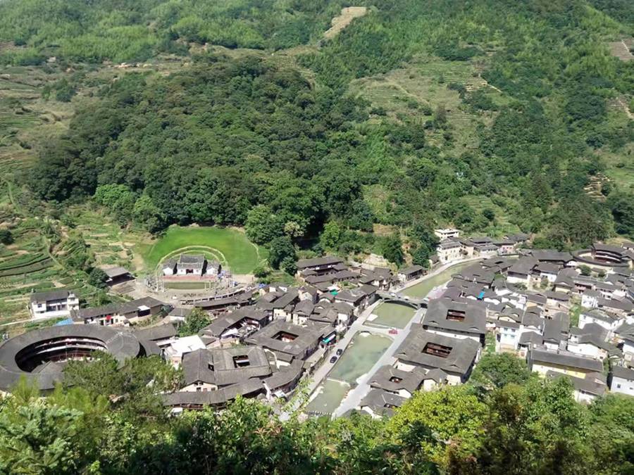 首批“福建最美古树群”名单出炉 最大树龄已有700多年