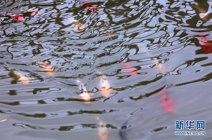 图片默认标题_fororder_CqgNOl0cFYaAdr2qAAAAAAAAAAA632.899x591