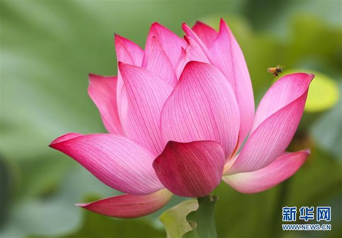 图片默认标题_fororder_CqgNOl0cFYWABwbvAAAAAAAAAAA399.900x627