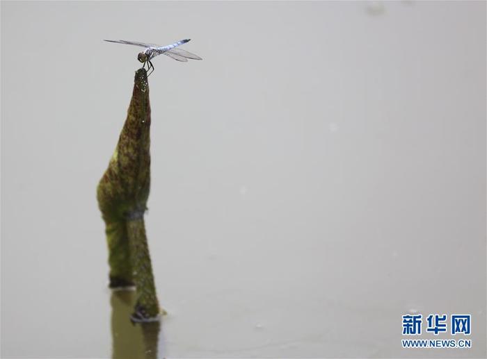 图片默认标题_fororder_CqgNOl0cFYWAeg61AAAAAAAAAAA492.899x663