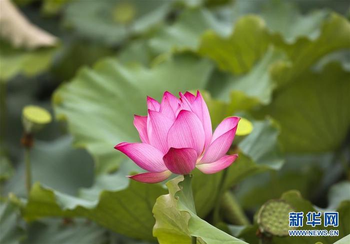 图片默认标题_fororder_CqgNOl0cFYaAUdR_AAAAAAAAAAA409.899x627