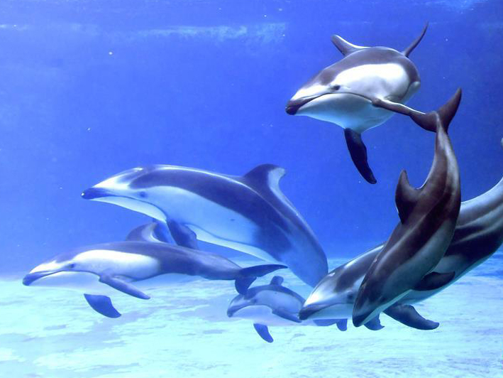 图片默认标题_fororder_1-1