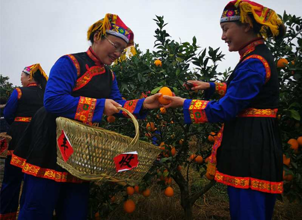 第三届湖南崀山脐橙文化旅游节开启乡村振兴新模式