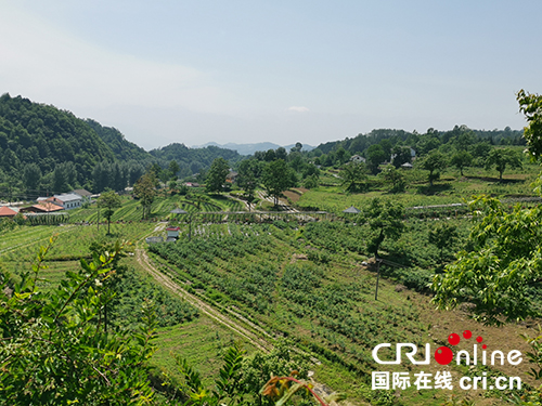 广元市朝天区汪家乡"蓝调汪家"廉洁文化助力经济发展