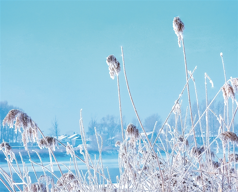 温春雾凇塑雪城